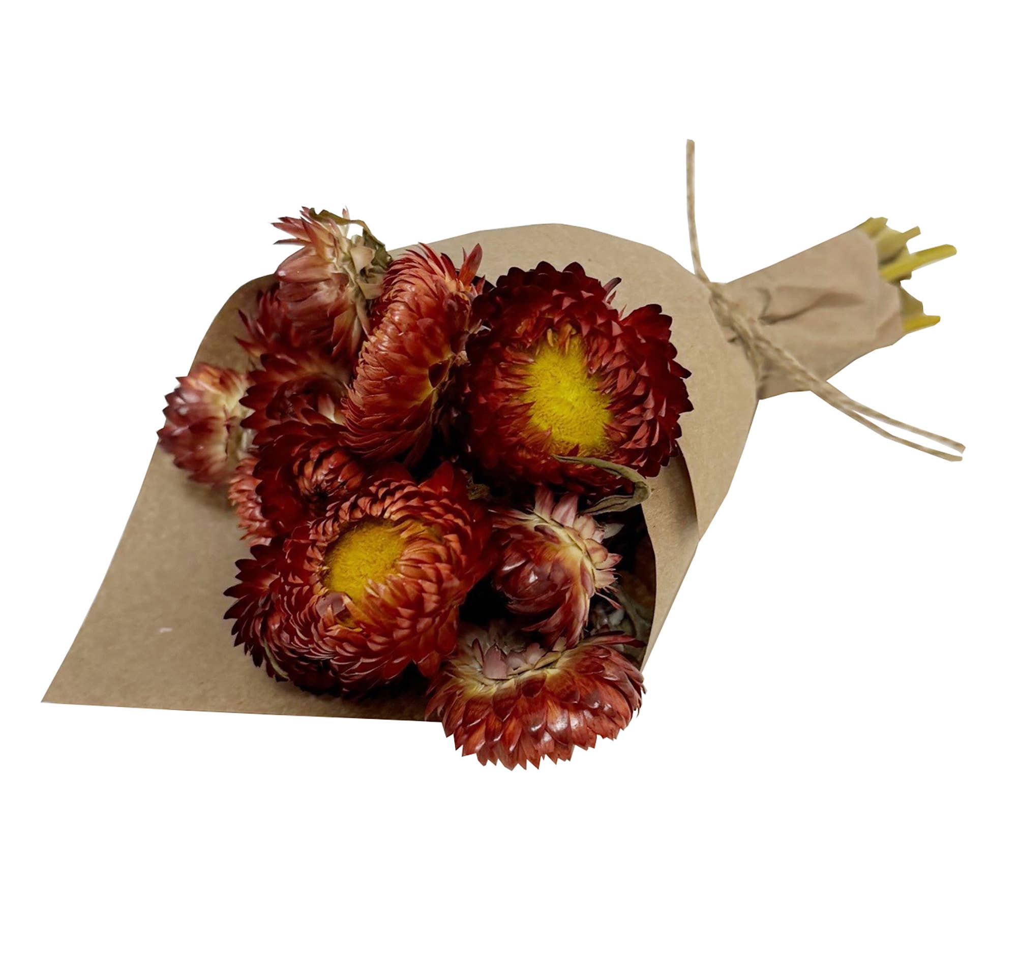 Andaluca - MINI Strawflower Bundle: Orange
