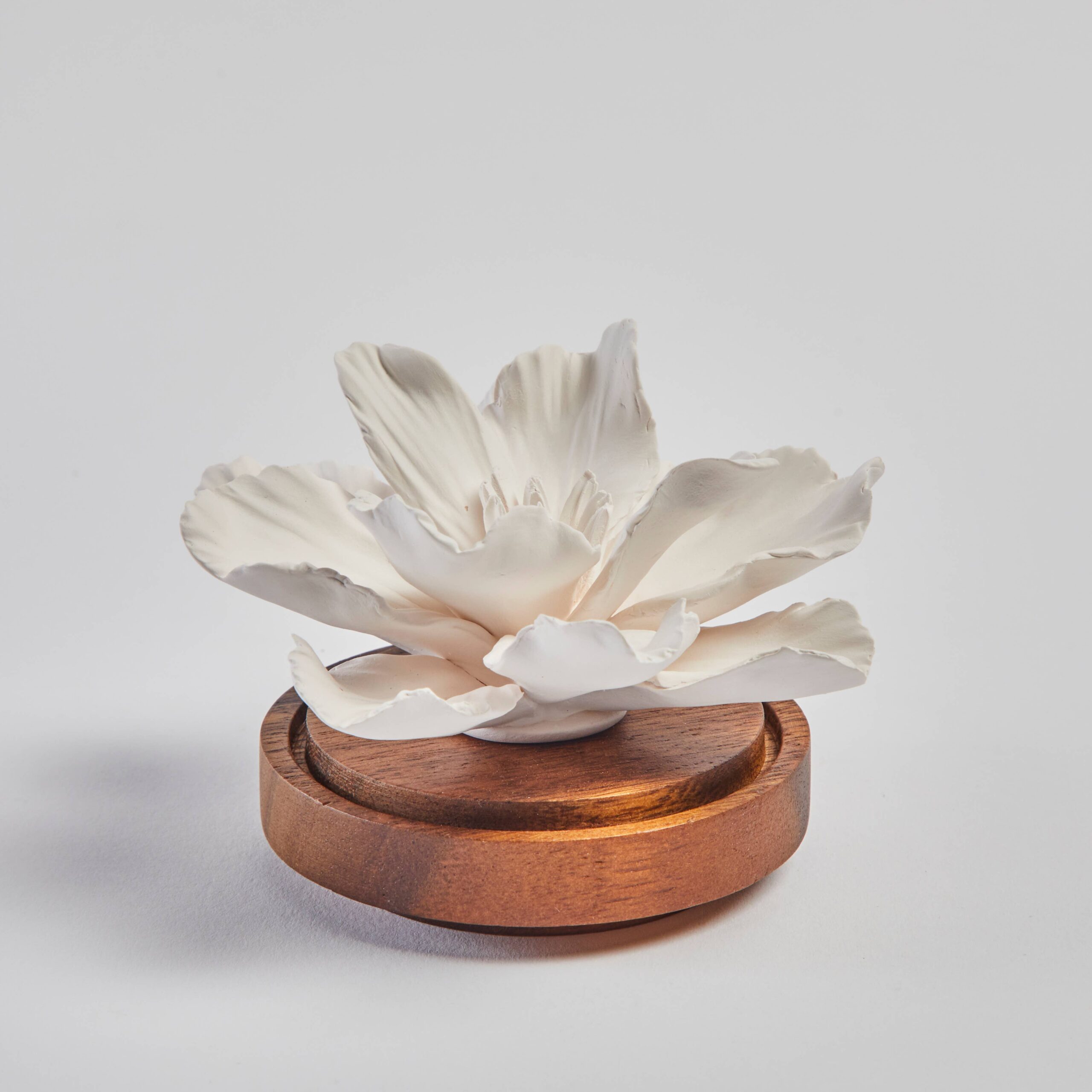 Hibiscus diffuser
