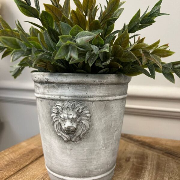 Cement Lion Planter: Medium
