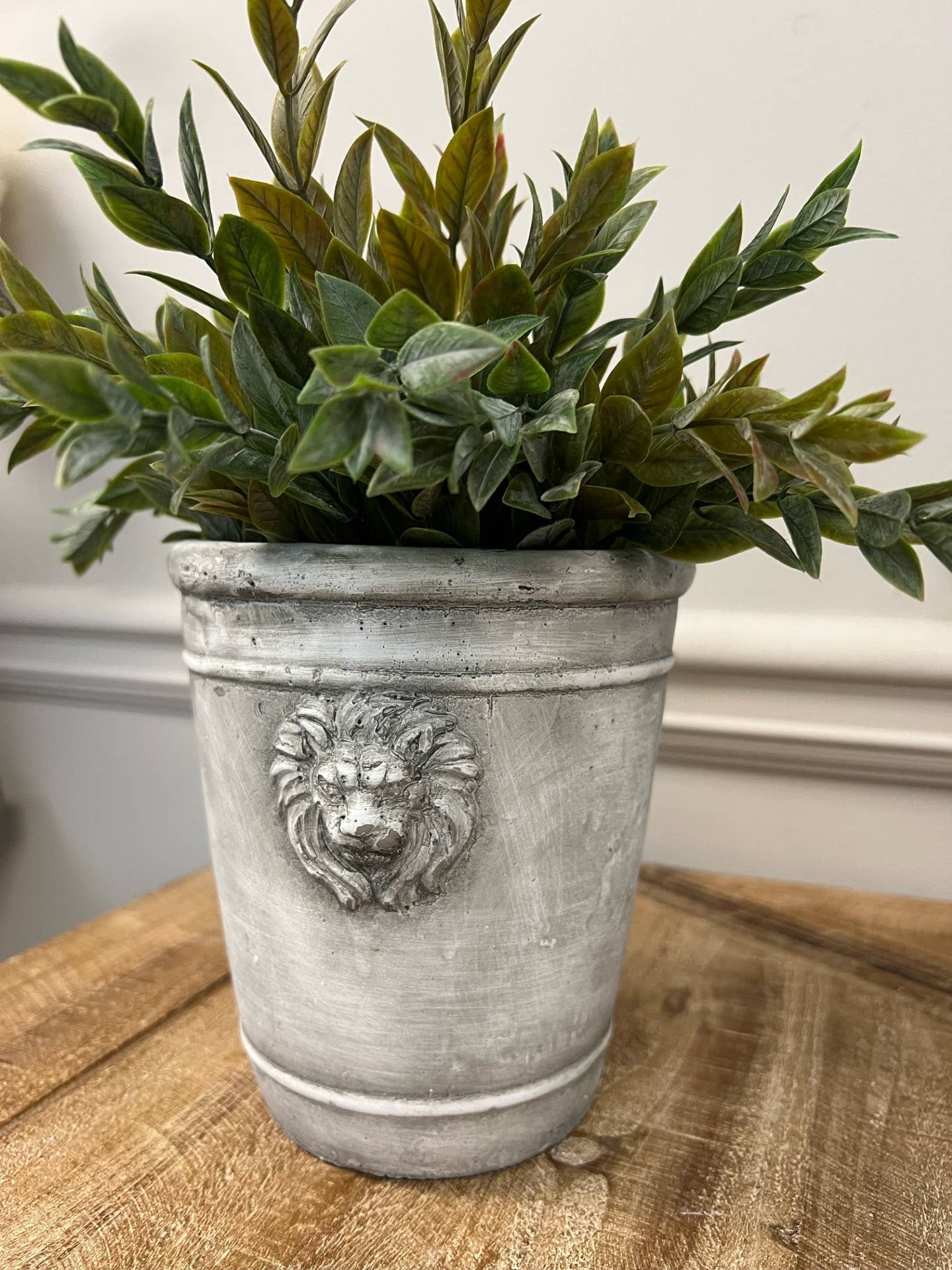 Cement Lion Planter: Medium