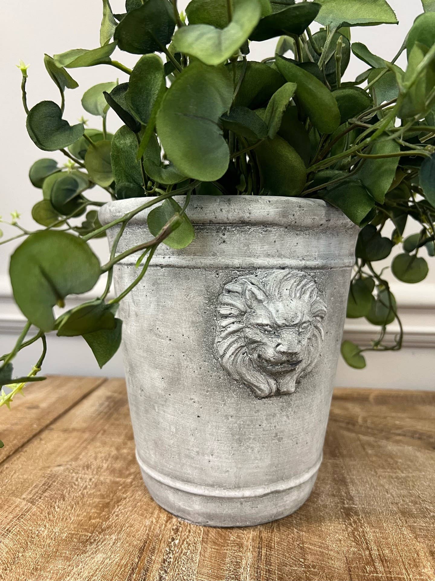 Cement Lion Planter: Large