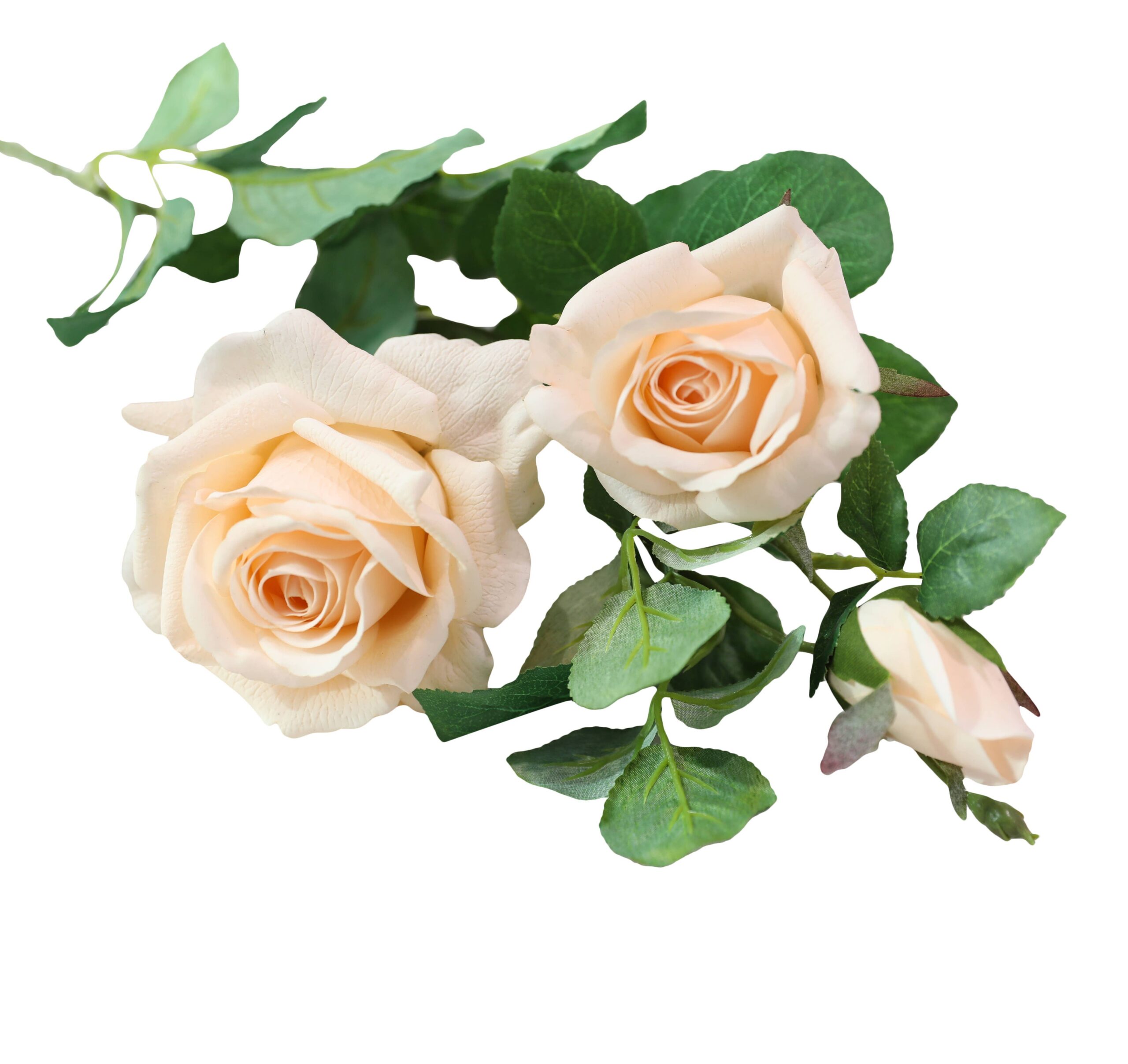 27"-Real Touch moisturized coating rose stem-Peach Coral: Peach Bellini