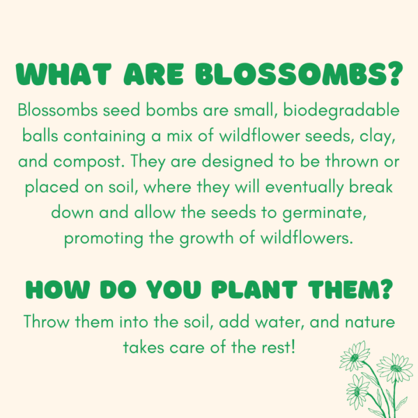 Blossombs Small Box - Dear Teacher-  7 Seed Bomb Balls - Image 4