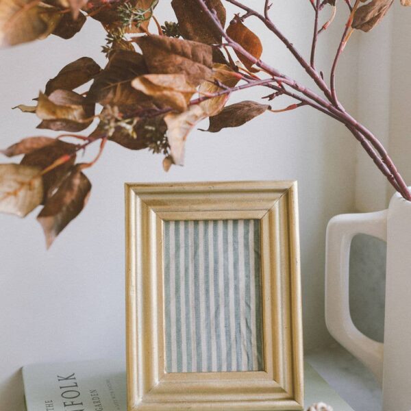 Double Ridge Photo Frame