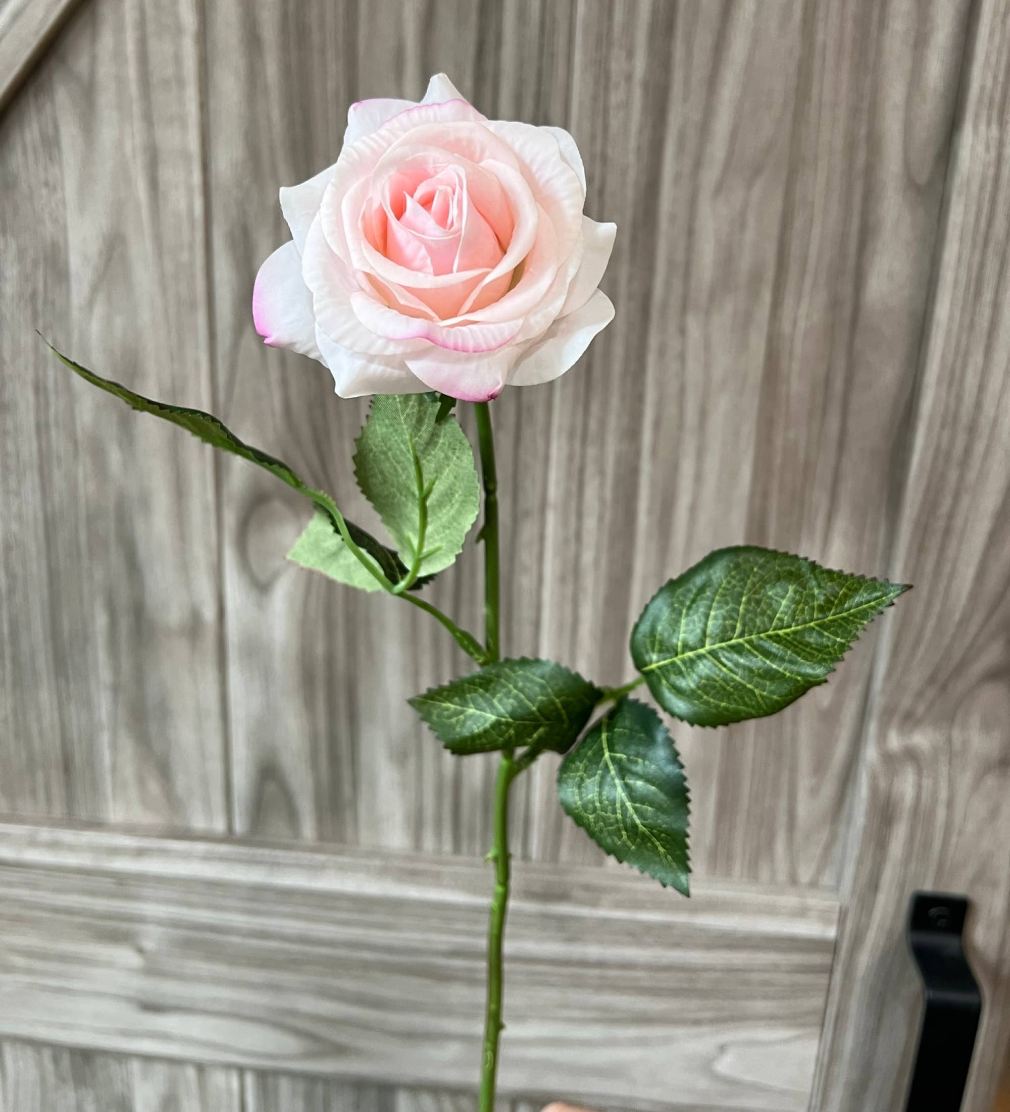 17" Real touch rose: Ballet Pink