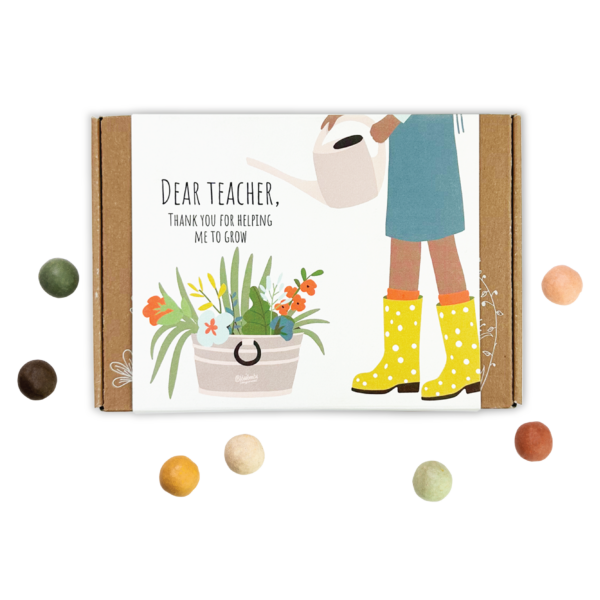 Blossombs Small Box - Dear Teacher-  7 Seed Bomb Balls - Image 6