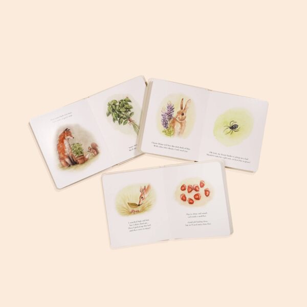 Paige Tate & Co. - Our Little Adventures Box Set for Kids - Image 4