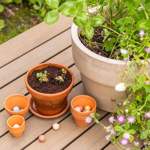 Blossombs Egg Box- Hello Spring- 7 Seed Bomb Balls - Image 3
