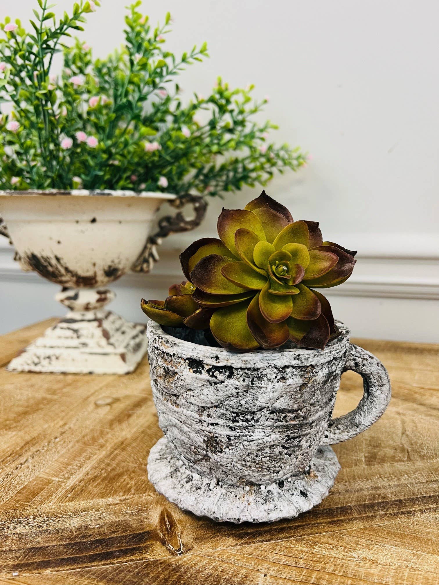 Cement Rustic Tea Cup Planter