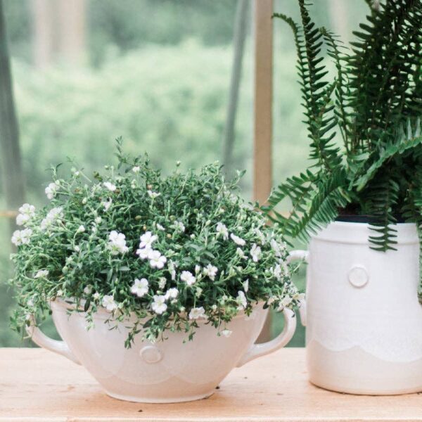 etúHOME - White Handthrown Crock - Image 10