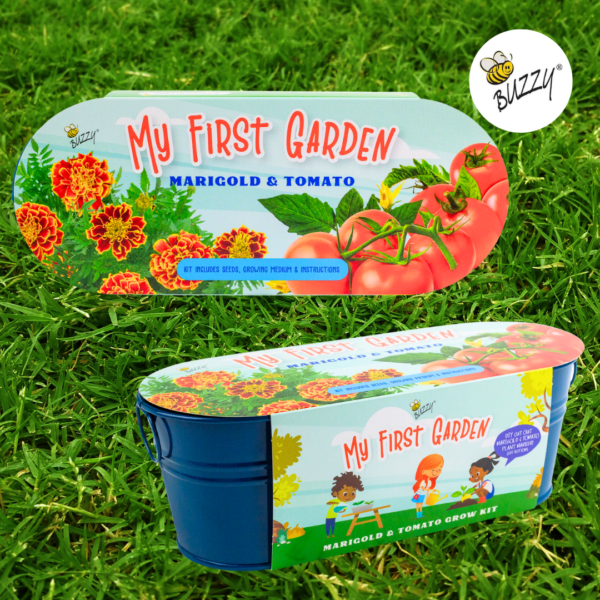 My First Garden Windowsill - Marigold and Tomato Grow Kit - Image 6