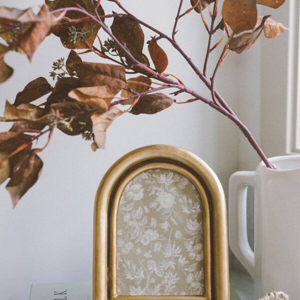 Delicate Arch Photo Frame