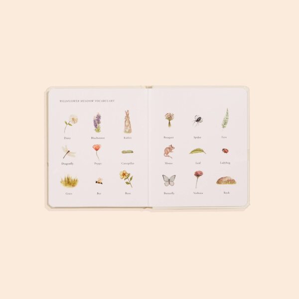 Paige Tate & Co. - Our Little Adventures Box Set for Kids - Image 5