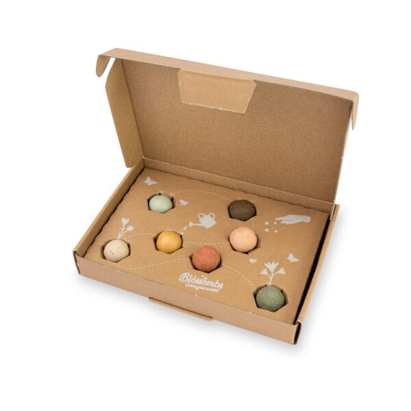Blossombs Small Box - Dear Teacher-  7 Seed Bomb Balls - Image 11