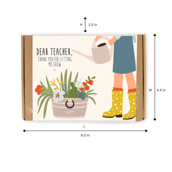 Blossombs Small Box - Dear Teacher-  7 Seed Bomb Balls - Image 10