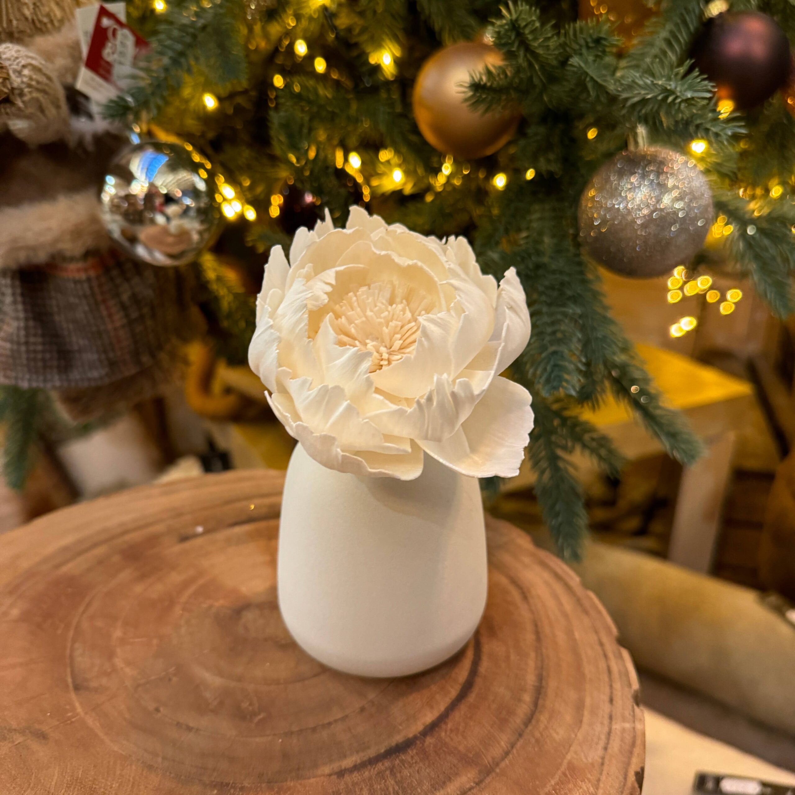 CORALI Creme fragrance diffuser