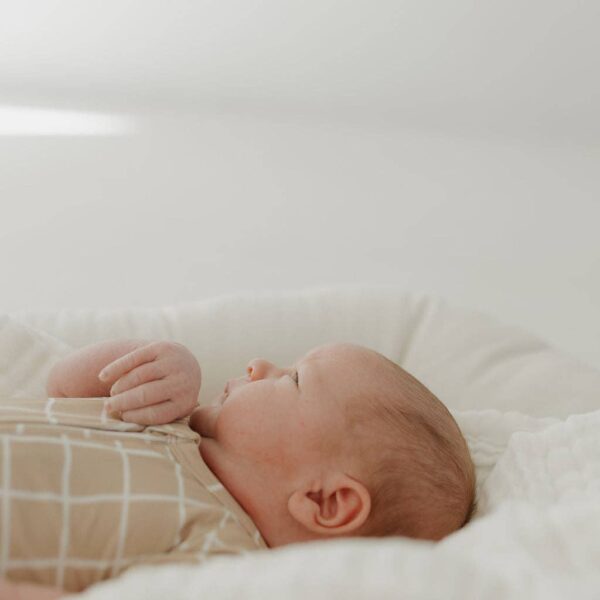 Bamboo Zip Shortie | Grid: 12-18 Months - Image 11
