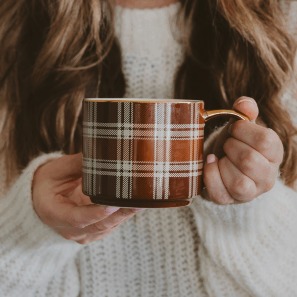 *NEW* Brown Plaid Coffee Mug - Image 5
