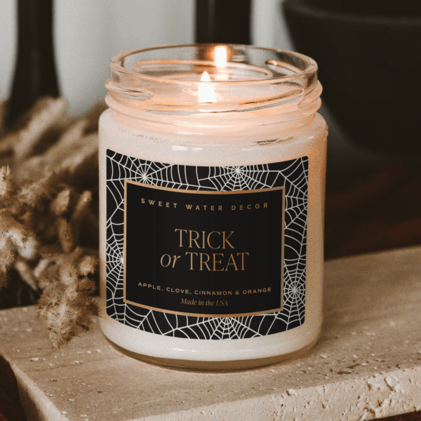 *NEW* Trick or Treat 9 oz Soy Candle - Image 6