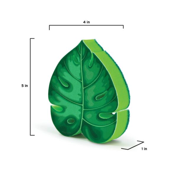 Sponges - House Plant-1 - Image 2