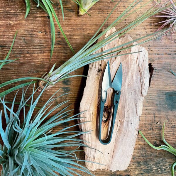 Seattle Seed Co. - Herb Snips - Image 4