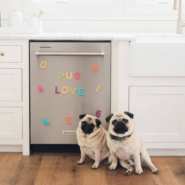 2" 36pc Rainbow Pop Magnetic Letters - Image 4