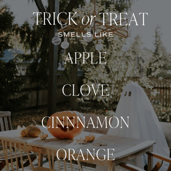 *NEW* Trick or Treat 9 oz Soy Candle - Image 8