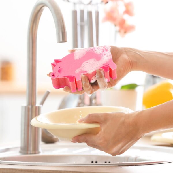 Sponges - Pig Sty - Image 2