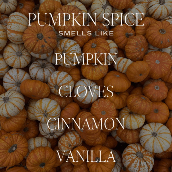 Pumpkin Spice 11 oz Soy Candle, Ribbed Jar - Image 2