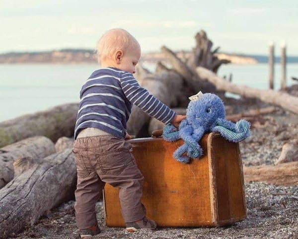 Ocho the Octopus - Image 2
