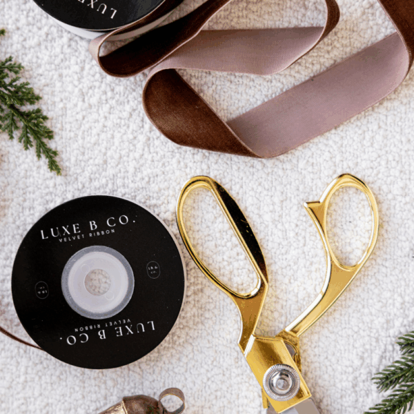 Ribbon Brown Velvet Medium