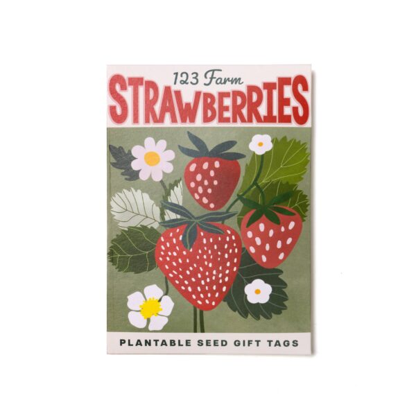 Plantable Seed Gift Tags - Vintage Seed Design, 5 Gift Tags: Daisies - Image 6