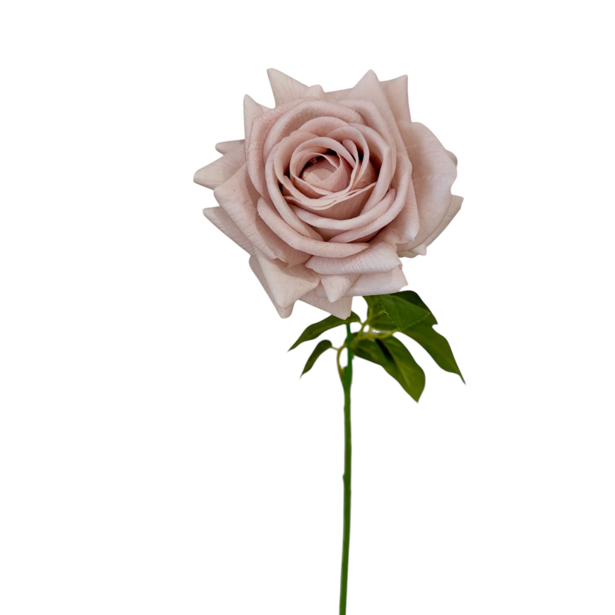 26"-Elegant Real Touch rose-blush taupe-muted beige color