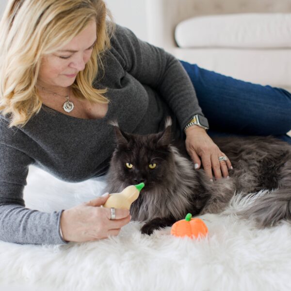 Gourds Fall Cat Toys, Set of 2 - Image 4
