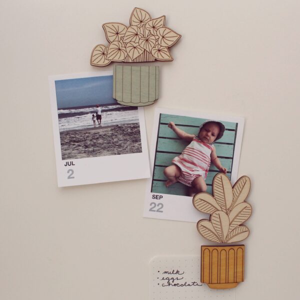 Wood House Plant Magnets | Snake Plant | Plant Lover Gift - Image 4