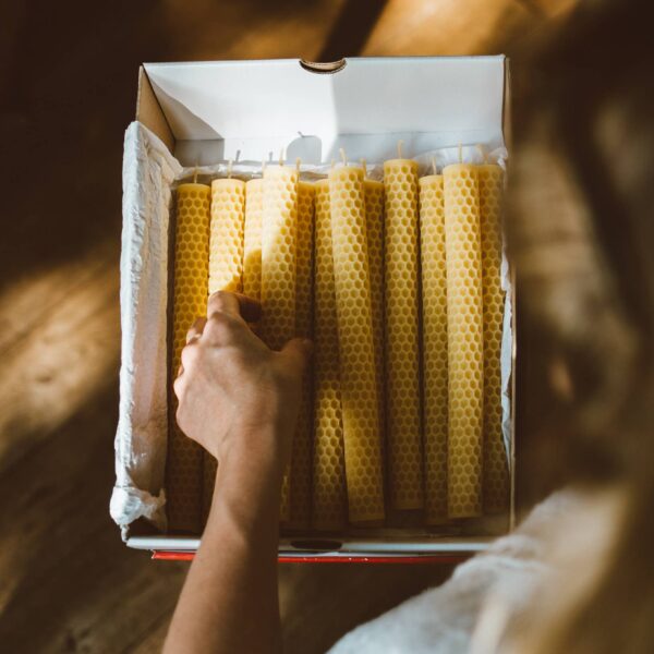 Goldrick Natural Living - Honeycomb Beeswax Dinner Candles - Image 4