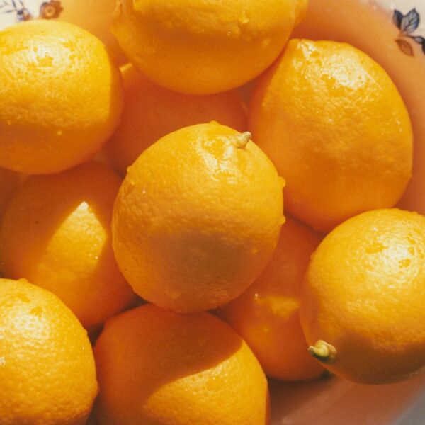 Marmalade Grove - Meyer Lemon & Honey Marmalade - Image 2