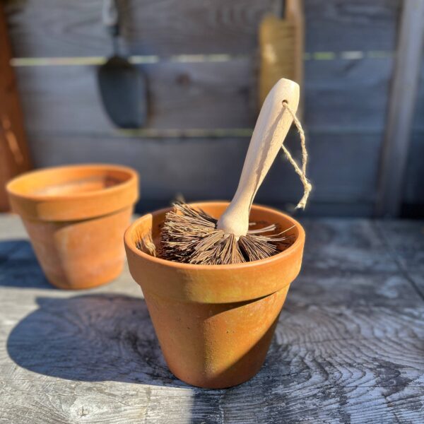 Seattle Seed Co. - Plant Pot Cleaning Brush - Image 2