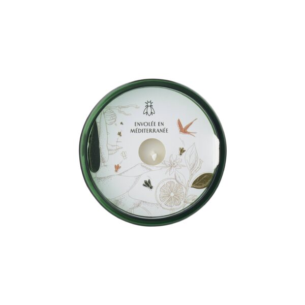 Bee Candles: Flight to the Dunes (Orange Blossom) - Image 6