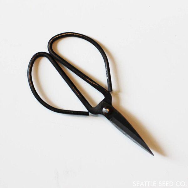 Seattle Seed Co. - Forged Steel Pruning Shears - Image 2