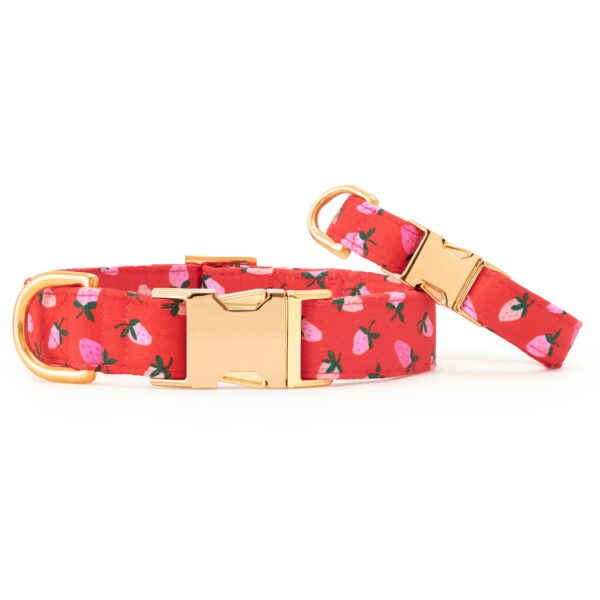 Berry Sweet Valentine's Day Dog Collar: S / Gold - Image 3