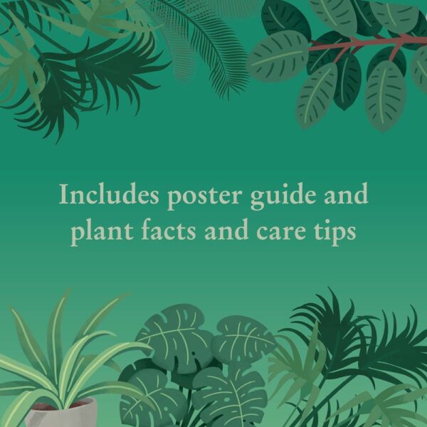 Houseplants 1000 Piece Jigsaw Puzzle - Image 3