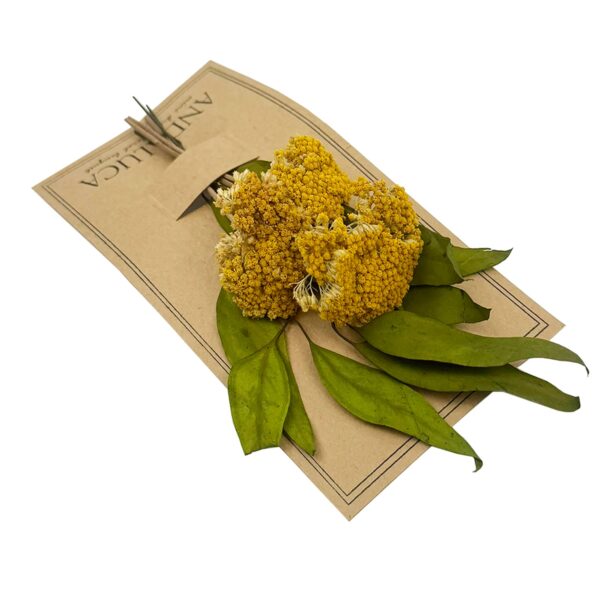 Andaluca - Willow & Yarrow Mini Bouquet - Image 2