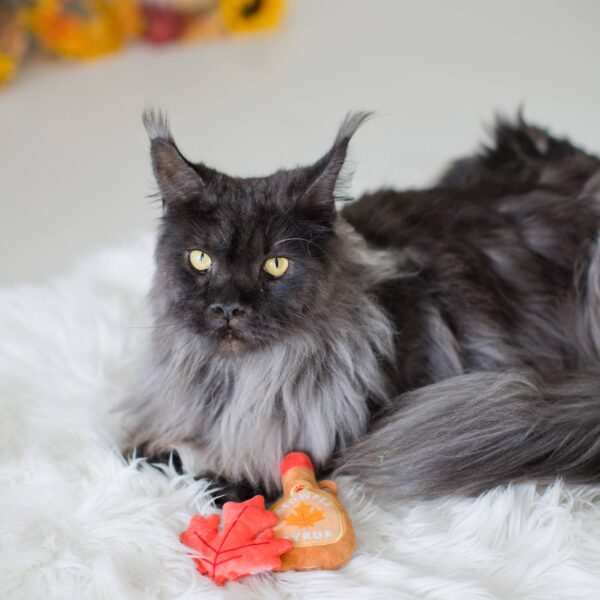 Maple Leaf & Syrup Fall Cat Toys, Set of 2 - Image 2