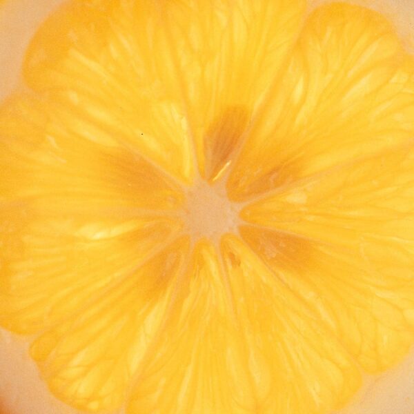 Marmalade Grove - Meyer Lemon & Honey Marmalade - Image 3