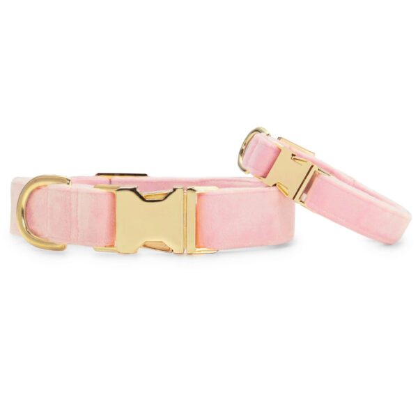 Blush Pink Velvet Valentine's Day Dog Collar: S / Gold - Image 3