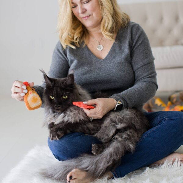 Maple Leaf & Syrup Fall Cat Toys, Set of 2 - Image 3