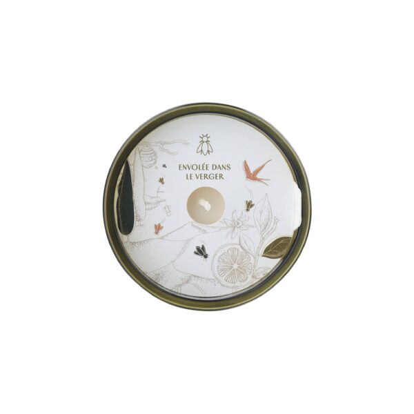 Bee Candles: Flight to the Dunes (Orange Blossom) - Image 11