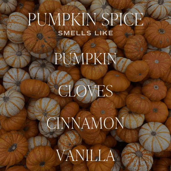 Pumpkin Spice 12 oz Candle - Image 5