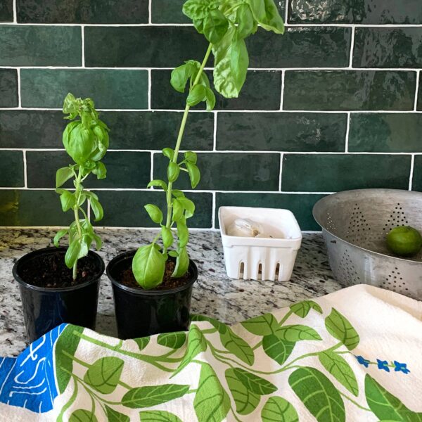 Basil Tea Towel - Image 7